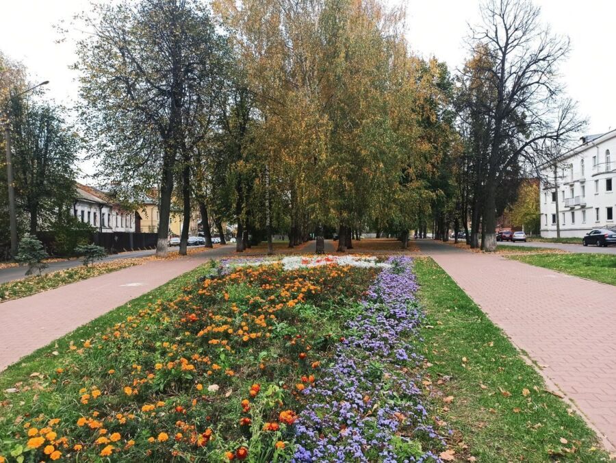 Судьбу убитых парков в Костроме решают сами костромичи