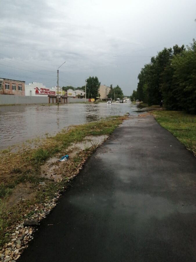 Важный район Костромы от потопов спасет Алка