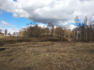 Лес вывозят из Костромской области за границу ударными темпами