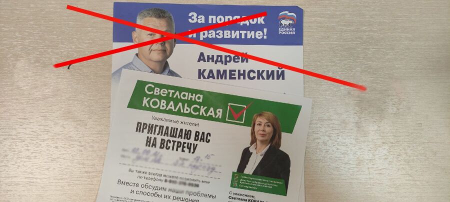 Скандальные выборы под Костромой: независимая женщина разгромила мужчину
