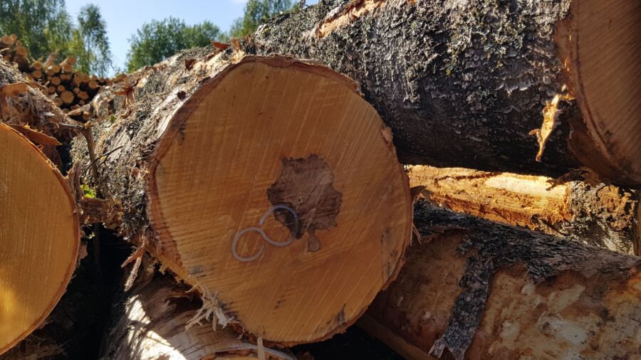 Крупный фанерный комбинат рассказал лесозаготовителям о качественной древесине