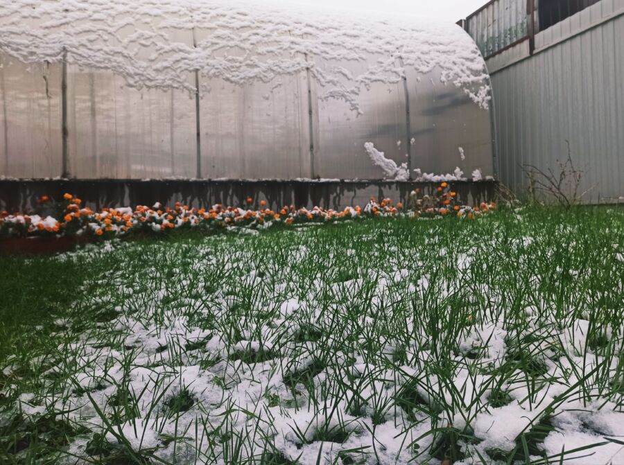 Первый снег в Костроме застал всех врасплох