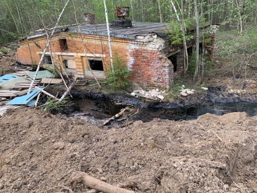 Экологическая катастрофа произошла в Костромском районе