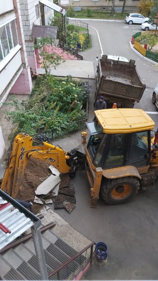 Костромичи: рабочие ТГК-2 заживо закопали котенка