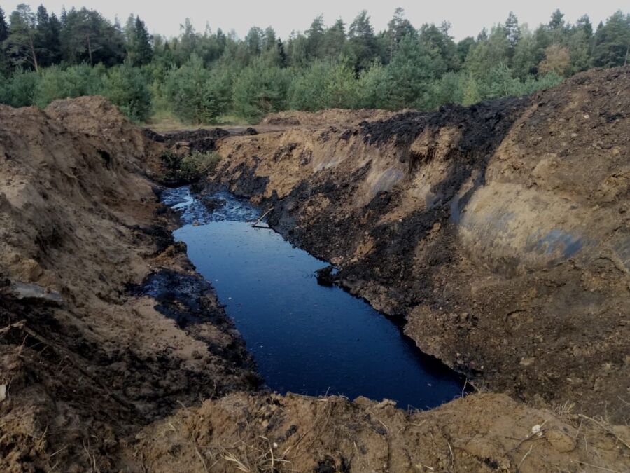 Суд вынес приговор виновным в экологической катастрофе под Костромой