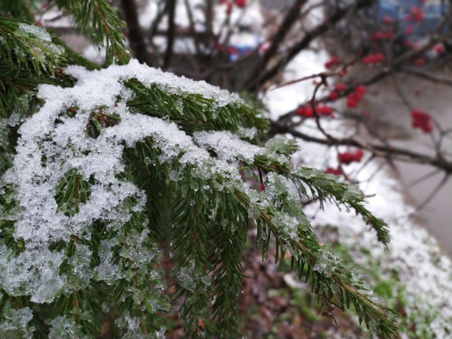 Погода в Костроме после Нового года принесет лютый мороз