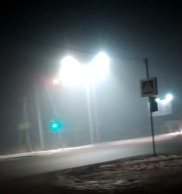 Целый район в Костроме всю ночь искал ежика в тумане со странным душком