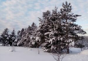-26 отменяется: какая погода ждет жителей Костромы в ноябре и декабре