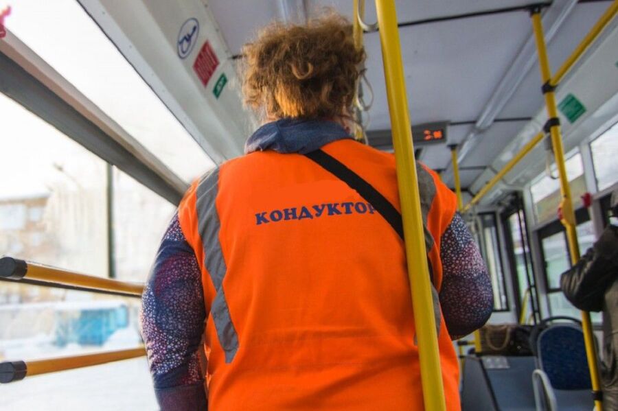 Костромской кондуктор выгнала школьников из автобуса на мороз