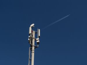 МТС повысила надежность мобильной сети в окрестностях Чухломского озера