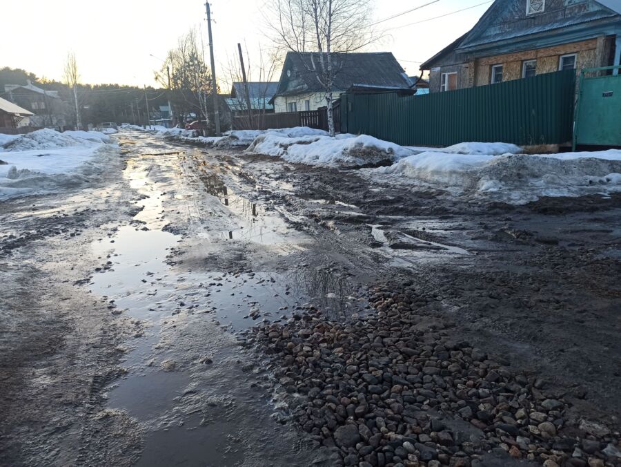 Потепление превратило улицу Костромы в непроходимое болото