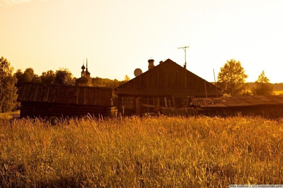 Тысячи заброшенных деревень насчитали в Костромской области