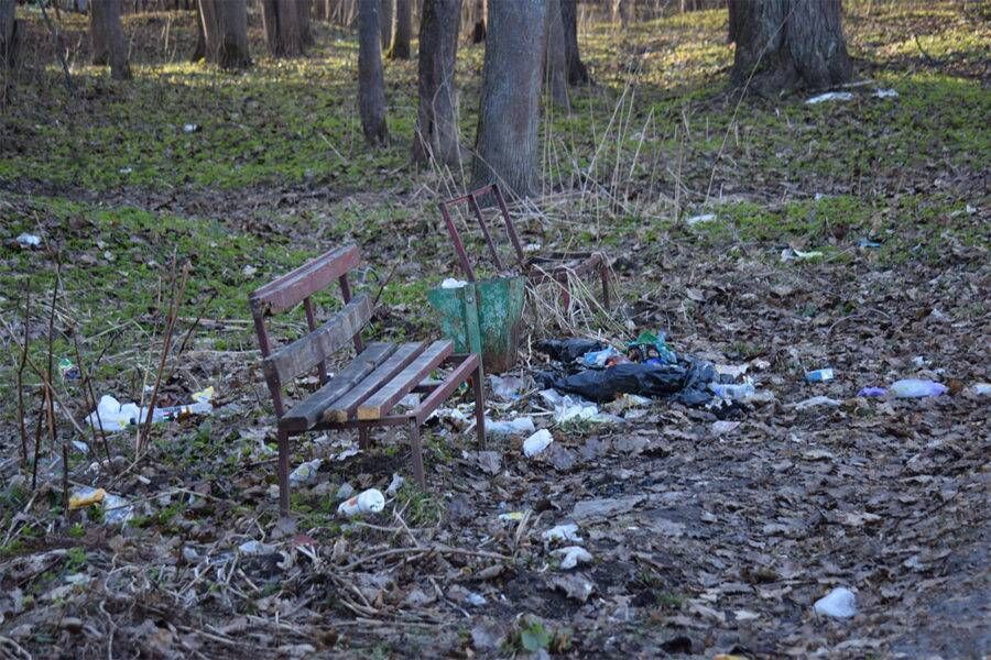Убитый парк у санатория «Костромской» пытаются облагородить всеми способами
