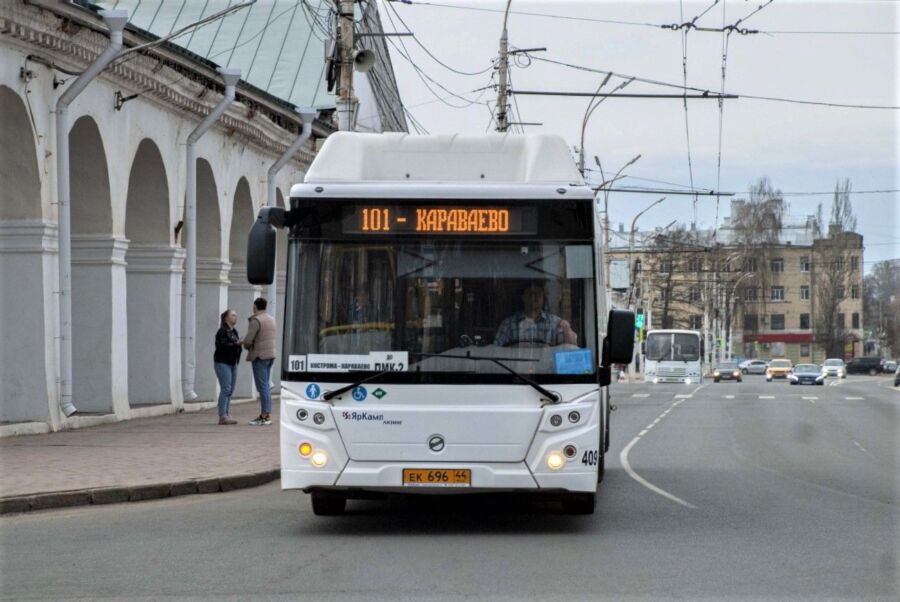 Стало известно, когда Кострома закупит 100 новеньких автобусов