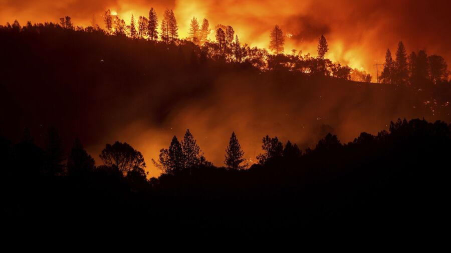 Массовые лесные пожары ожидаются в Костромской области