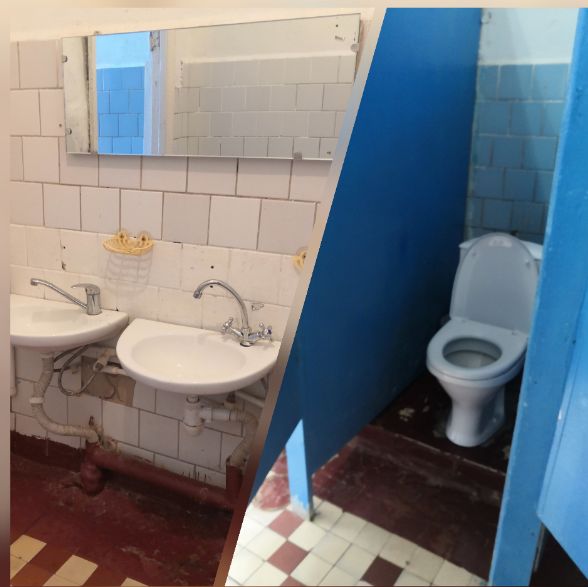 Костромская школа мечтает отремонтировать страшный туалет за счет Domestos