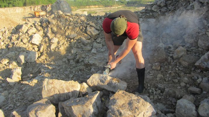 Древнейшие окаменелости из другой эры нашли в Костромской области