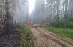 45 человек тушат лесной пожар в Костромской области