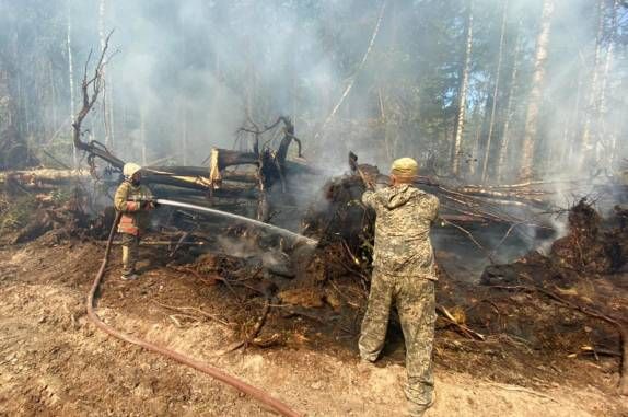Пожар в Костромской области тушат уже 10 дней