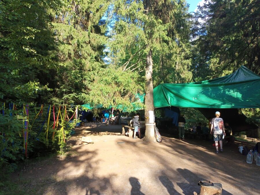 Прокуратура требует закрыть детский лагерь под Костромой до получения разрешения