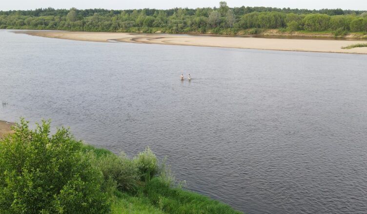Москвич утонул в костромской реке, спасая детей