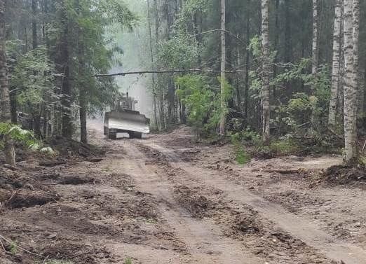 Больше 300 гектаров леса горит в Костромской области: ввели режим ЧС