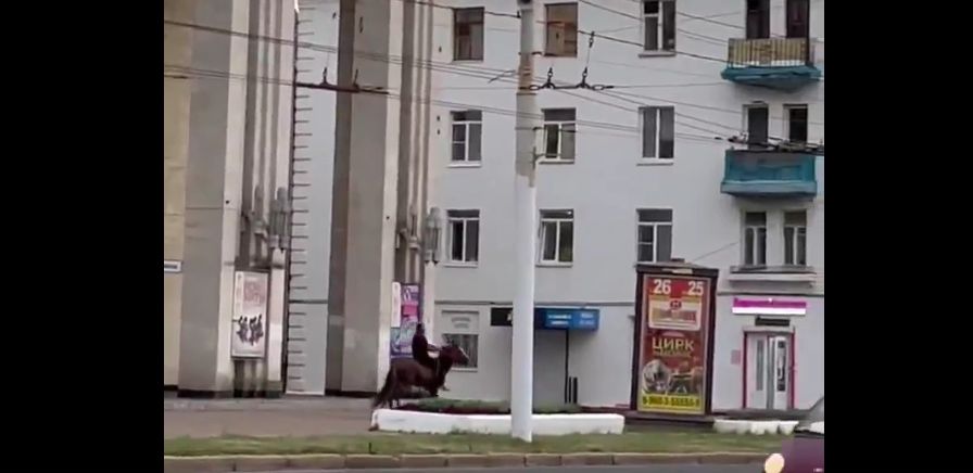 Костромич на коне промчался по центру города назло водителям