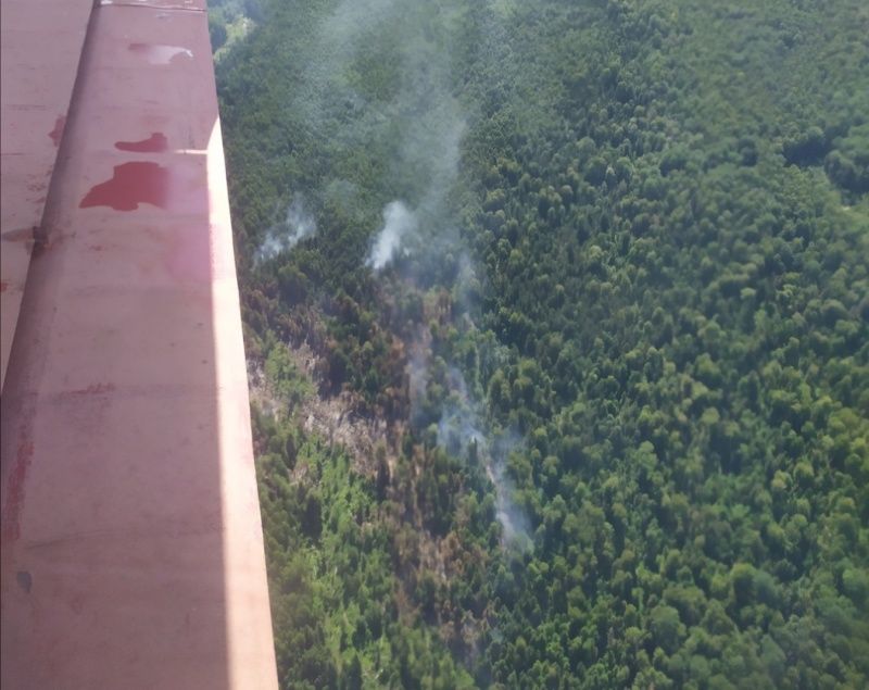 Пожары в Костромской области ищут с самолета