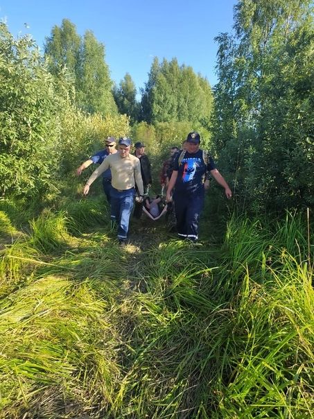 Пропавшего под Костромой рыбака нашли в лесу спустя три дня