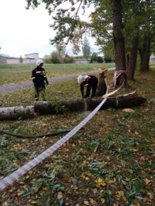 Отключение света, поваленные деревья и забор: в Костромской области устраняют последствия сильного ветра
