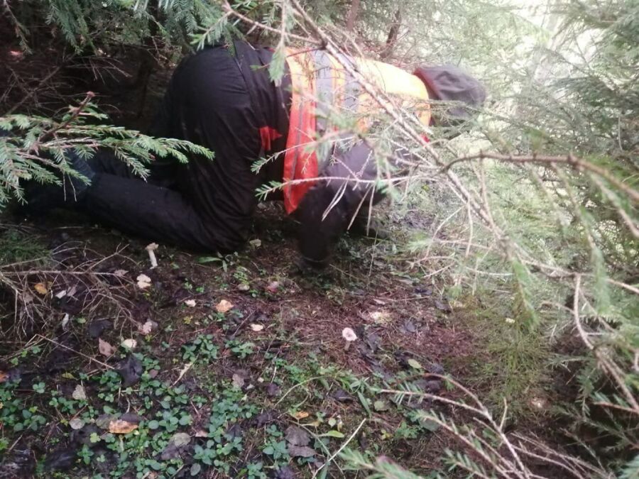 Пожилого грибника ищут в костромском лесу почти 10 дней