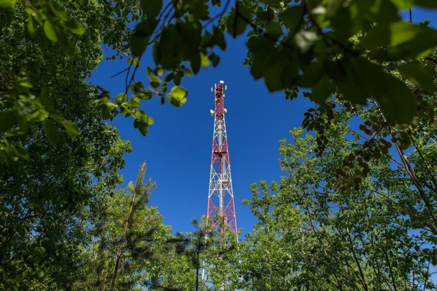 Зоопарк и «Берендеевка» обзавелись скоростным интернетом в Костроме