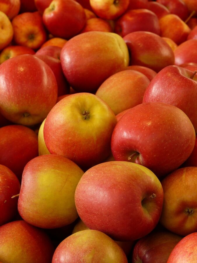 Санкционные яблочки и груши прорвались в магазины Костромы