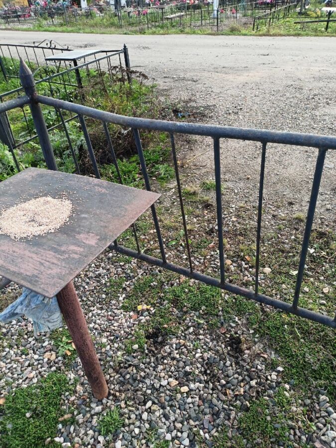 Неизвестные ломают ограды на костромских кладбищах