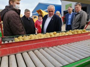 Костромичи мешками сметают картофель по 20 рублей за килограмм