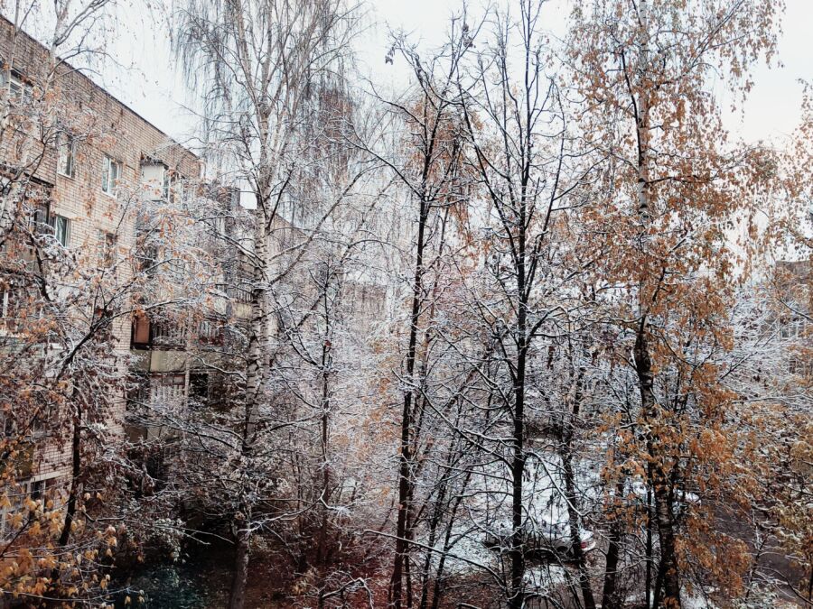 Осень, прощай: в Кострому идет климатическая зима