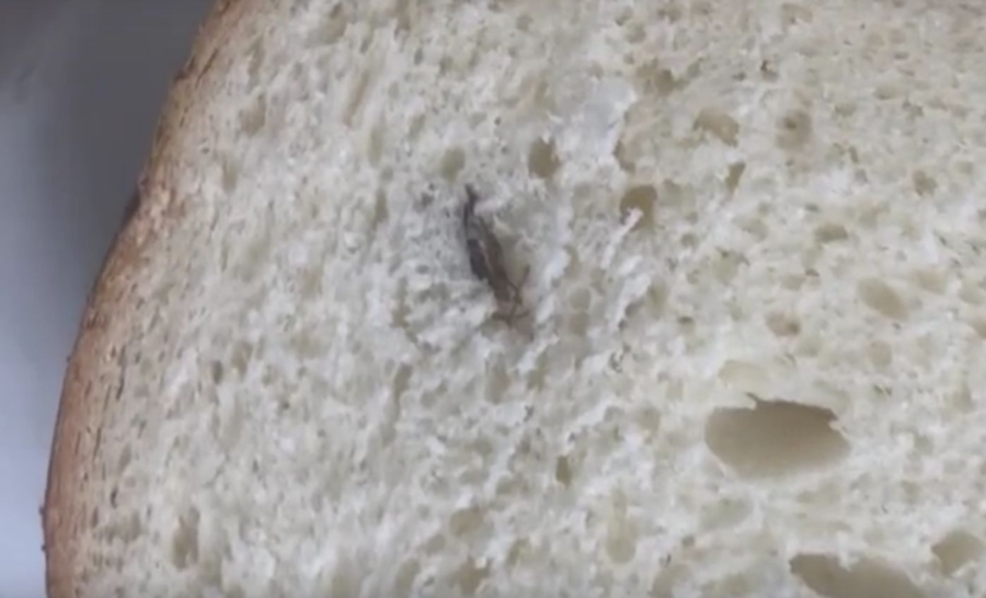«Не ем тараканов»: костромичка пожаловалась на хлеб с мясом от известной пекарни
