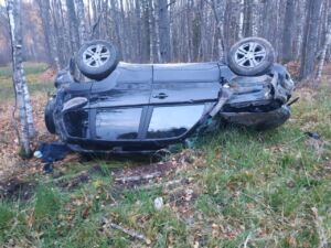 Костромич попал в аварию на трассе из-за лежащего кабана