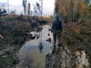 Без телефона и лекарств: пожилого костромича нашли в лесу спустя три дня
