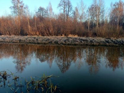 Тело мужчины нашли в реке под Костромой