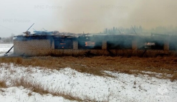 Ферма с коровами и овцами сгорела в Костромской области
