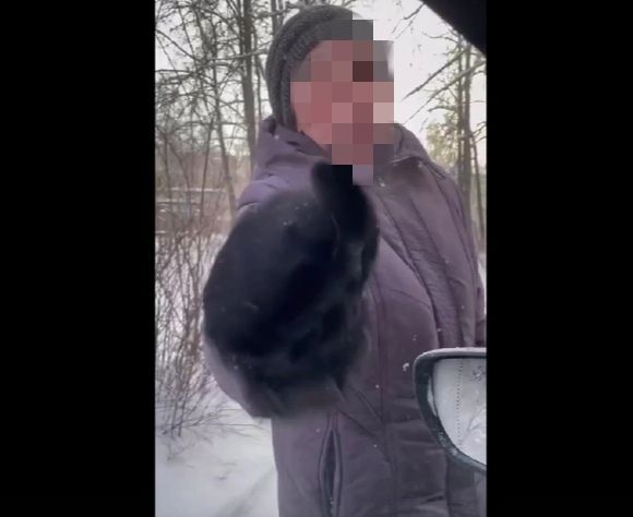 Пенсионерки в Костроме атаковали машину с ребенком