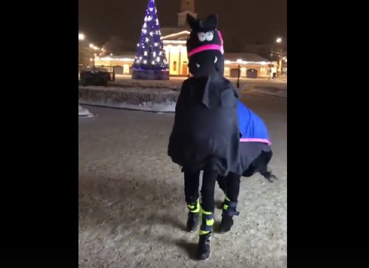 Черного коня с человеческими ногами заметили в центре Костромы