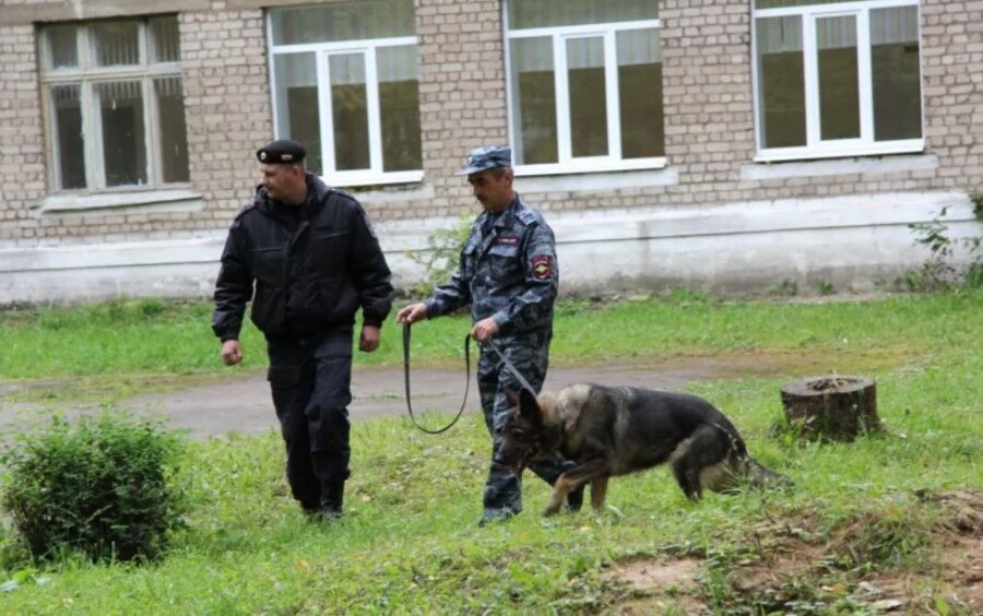 Тревожные кнопки в школах Костромы установили подальше от охранников