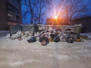 Кострома в мусоре: горожанам назвали причины переполненных помоек