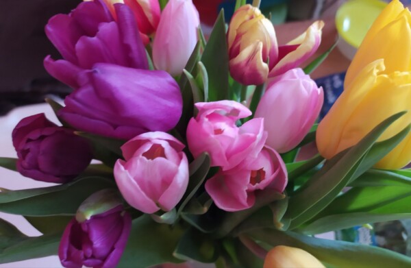 «Цветы я буду только маме дарить»: костромич странно поступил с подругой 8 марта