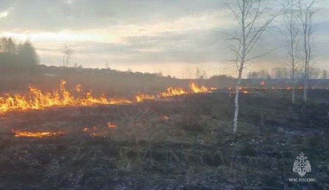 Костромички взяли спички: жители региона начали активно поджигать траву