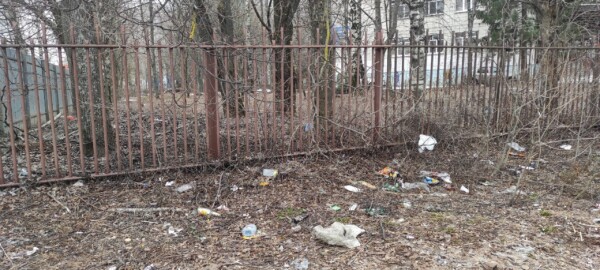 Костромских детей заставляют ходить в школу по мусору