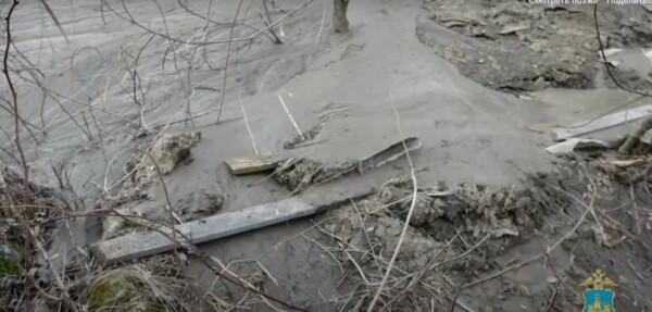 Двое школьников увязли в трясине реки Черная в Костроме