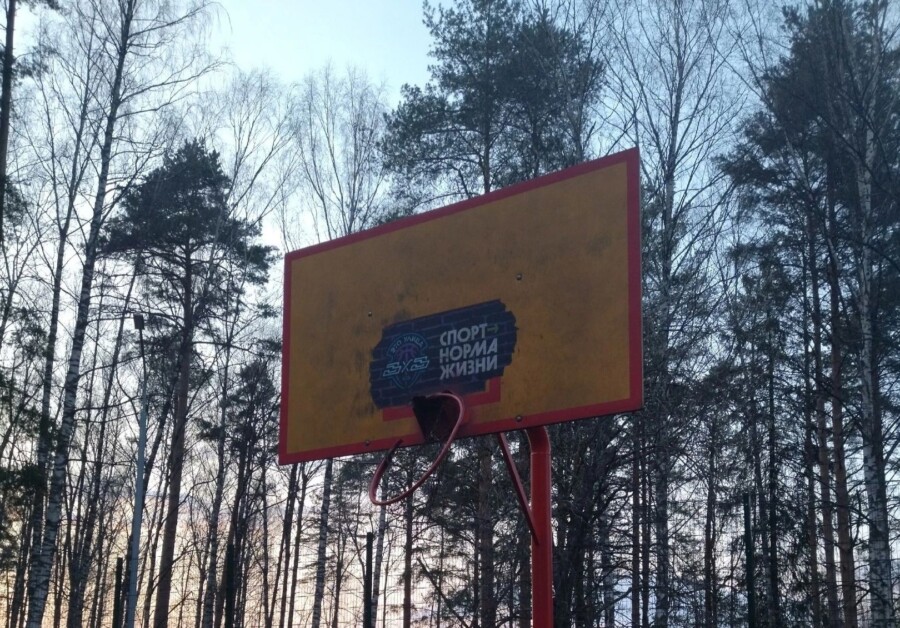 Костромские баскетболисты-любители пока не могут играть в Берендеевке